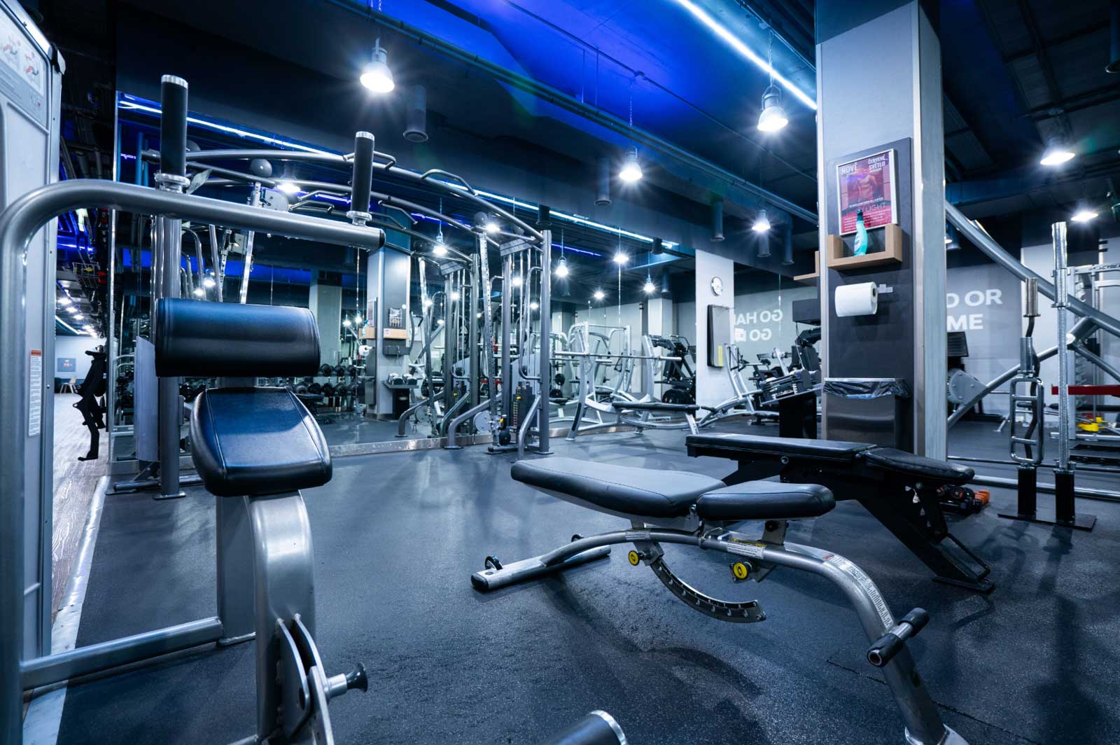 Vybavení Synergy clubu - interiér