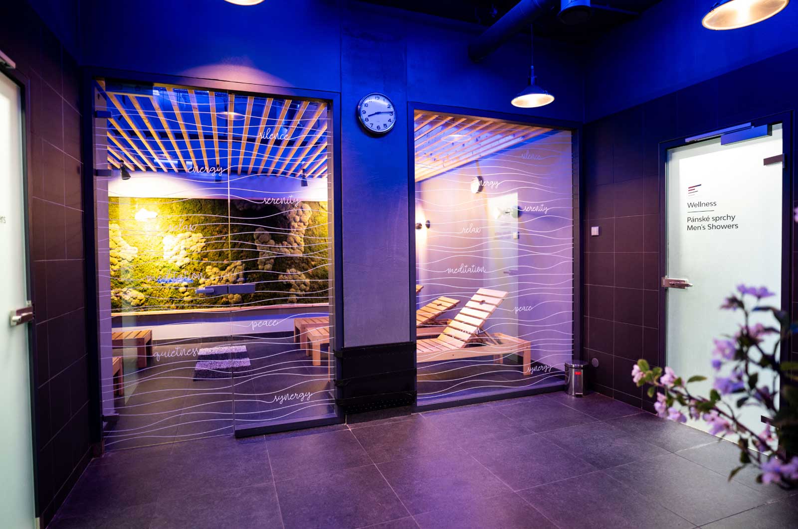 Vstup do Wellness Synergy