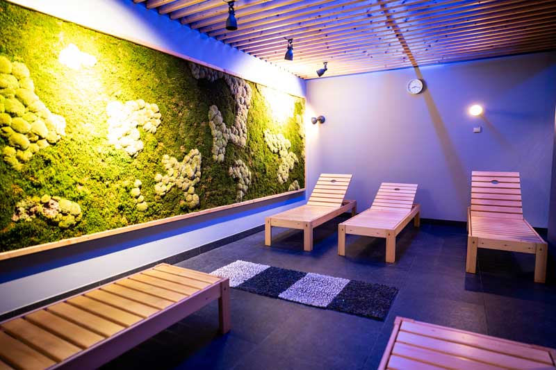 Synergy Wellness - lounge